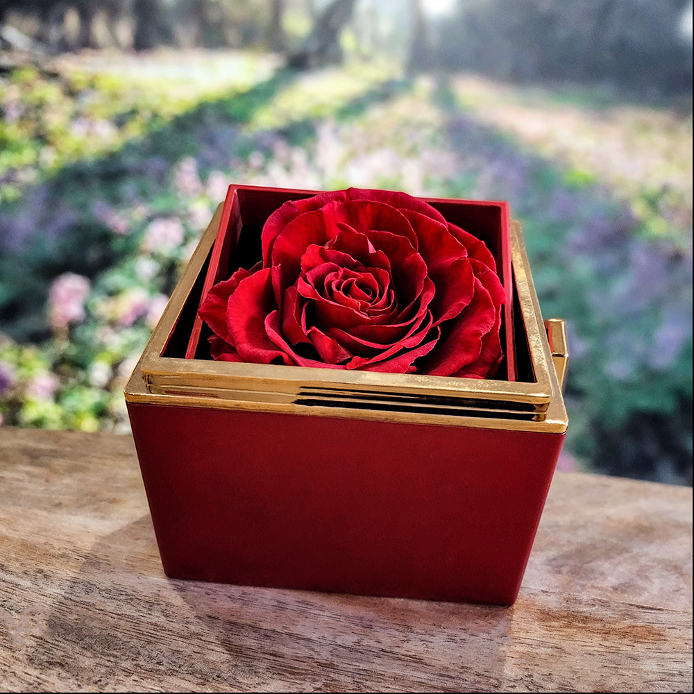 Love Knot with Rose Box for Mother's Day