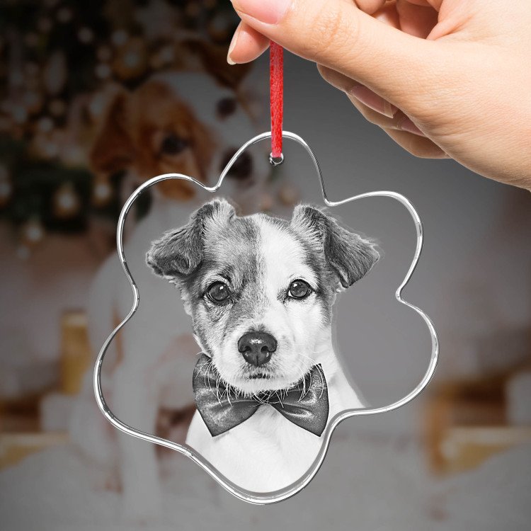 2D Crystal Dog Paw Ornament